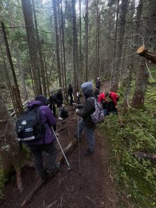 571409602 1541170190353505 1635400463308112248 N