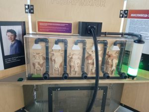 672673525 2043826936555208 3183236706023468676 N