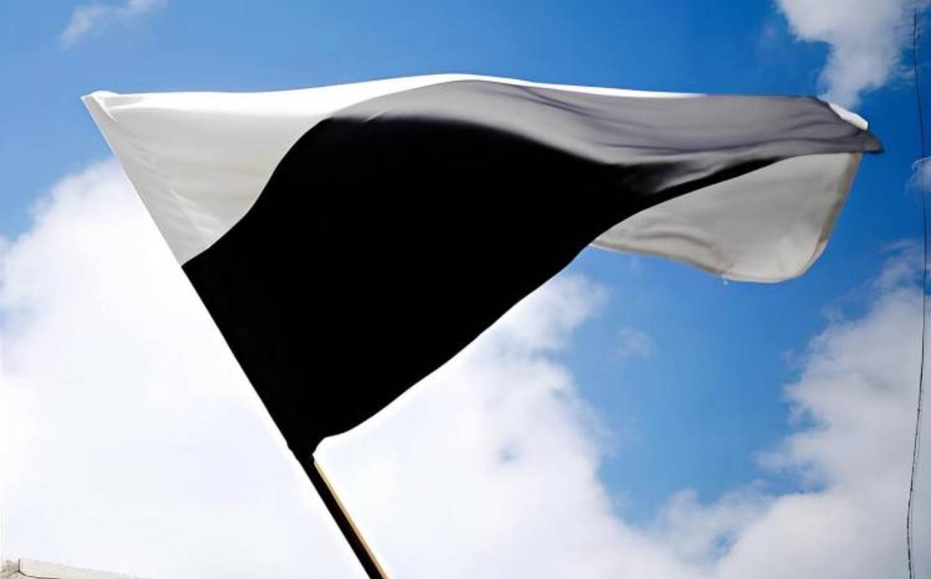 88569187294976ecdc3ccad2e575b757